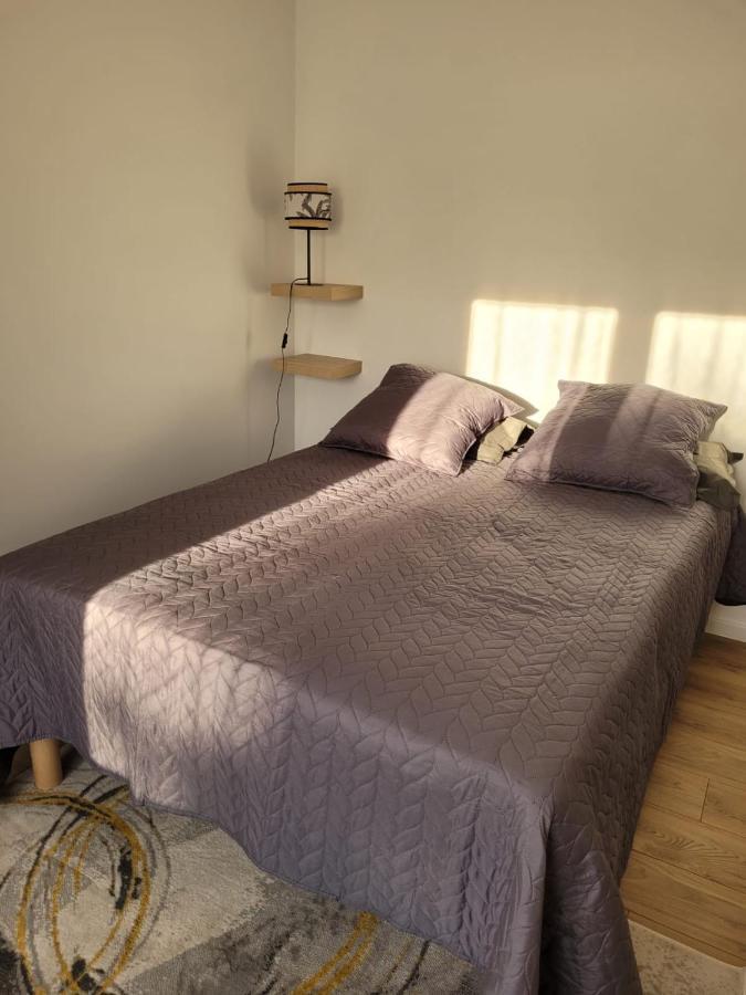 Avignon : Appartement Le In Et Off Bagian luar foto